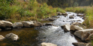 Proactive Riparian Treatments and Clean Water Act Compliance